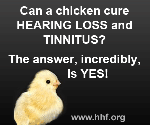 Credit: Hearing Loss Foundation 